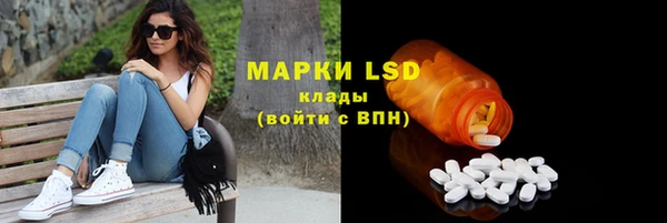 ALPHA PVP Кодинск
