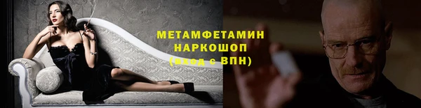 прущие грибы Козловка