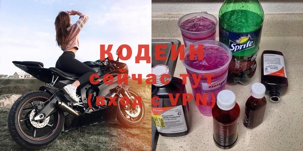 прущие грибы Козловка