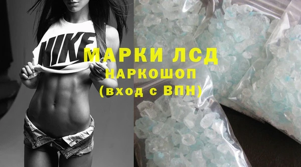 прущие грибы Козловка