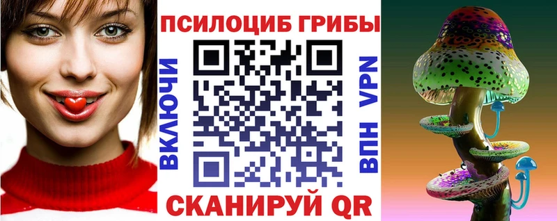 где можно купить Мглин Галлюциногенные грибы прущие грибы